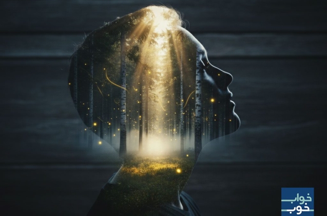 علم آرامش: چگونه صداهای طبیعت مغز شما را برای خواب عمیق آماده می‌کند